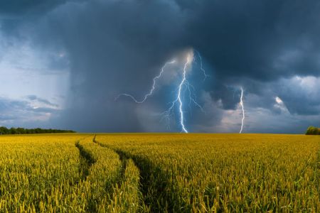 Czy wykaz towarów objętych monitorowaniem drogowym na stronie PUESC jest aktualny?