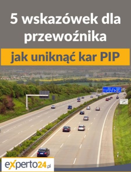 5 wskazówek dla przewoźnika jak uniknąć kar PIP